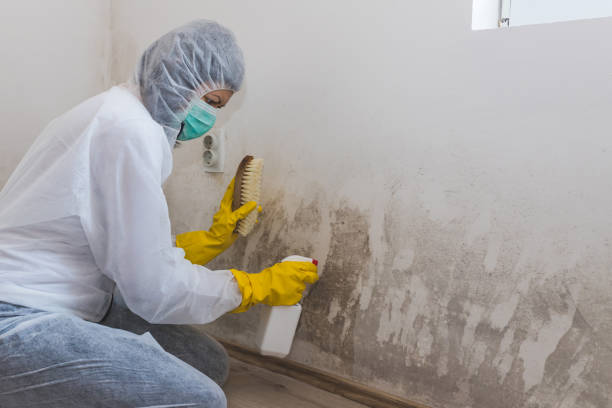 Water Damage Restoration in Lexington, OH