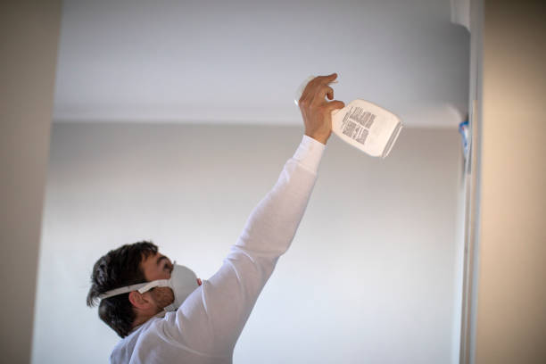 Best Mold Removal Near Me  in Lexington, OH