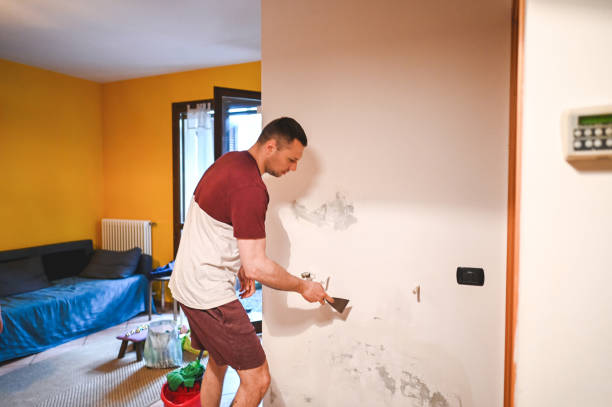 Best Local Mold Removal Service  in Lexington, OH